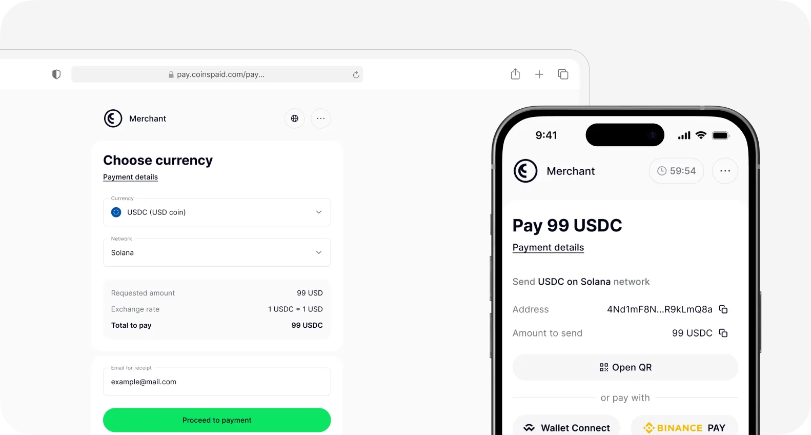 Crypto payment form case preview